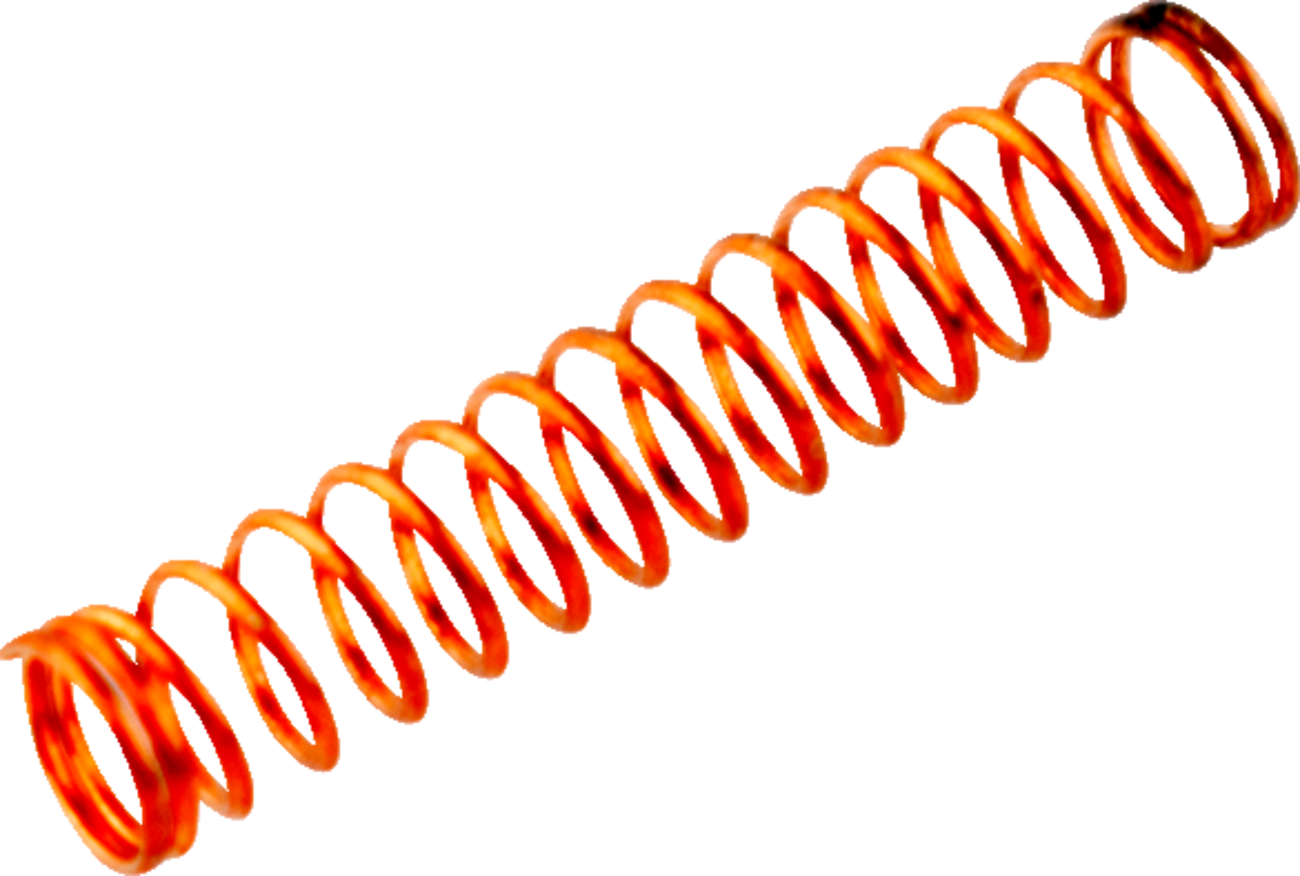 10031997_0.png