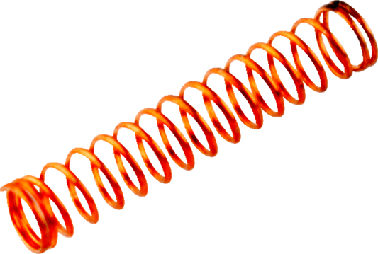 10031997_1.png