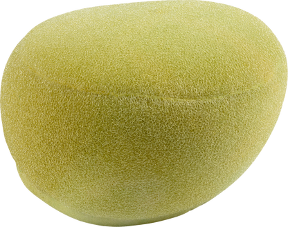 10110543_0.png
