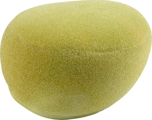 10110543_0.png