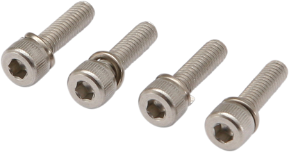 10500380_0.png