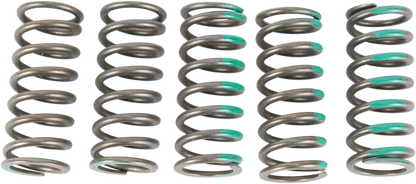 11310608_0.png