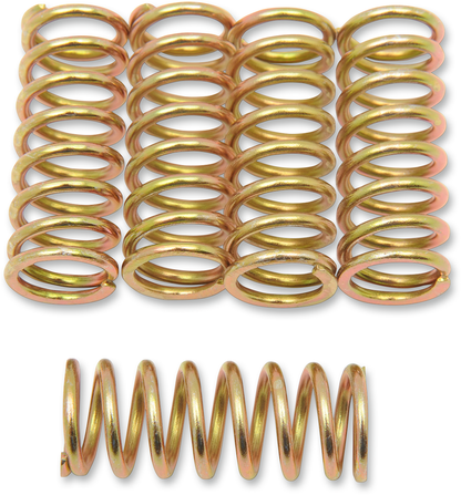 11310648_0.png