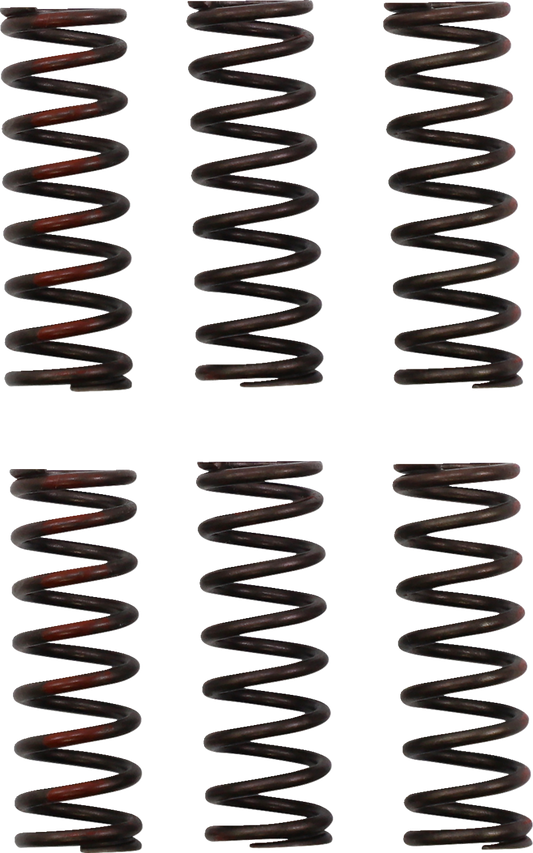 11313719_0.png