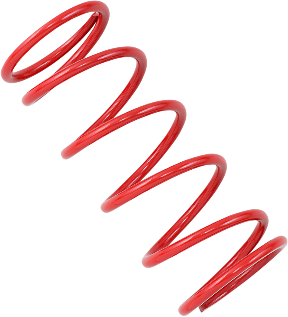 11400035_0.png