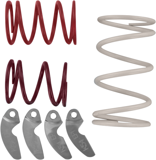 11400173_0.png