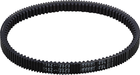 11420929_0.png