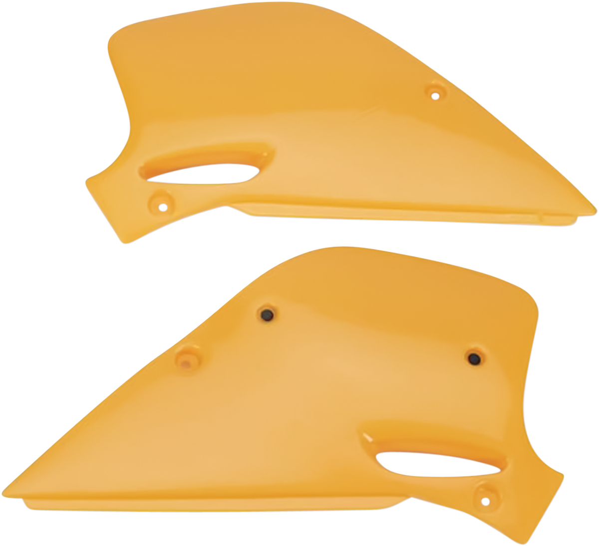 1237037_0.png
