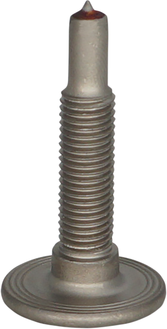 12500016_1.png