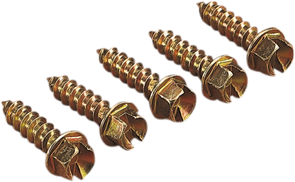 12500062_1.png