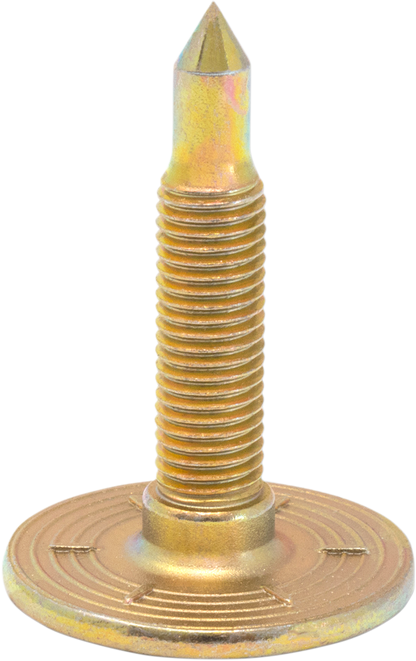 12500344_0.png