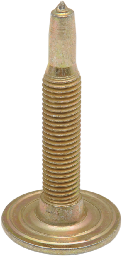 12500486_0.png