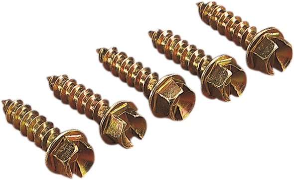 12500644_0.png