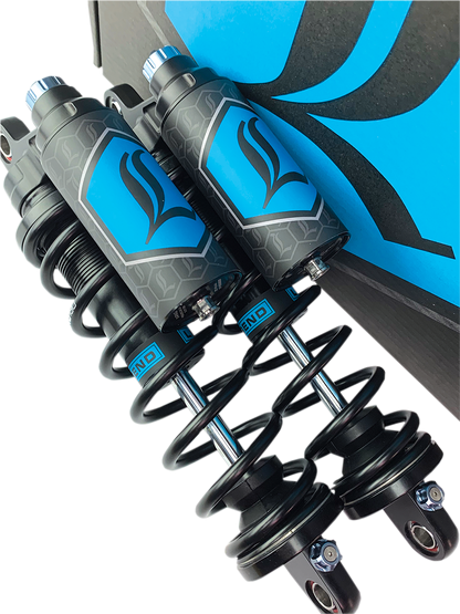 13101891_2.png