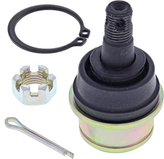 138866_1661195498.jpg
