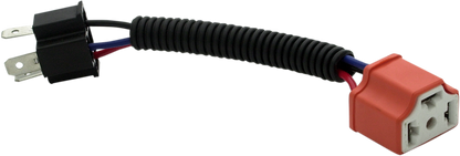 20011103_1.png