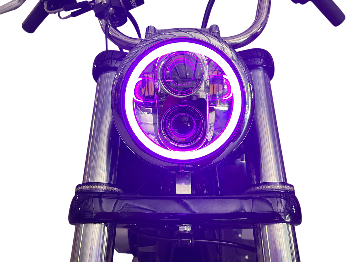 20012482_1.png