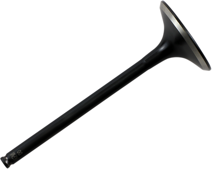 20080224_0.png