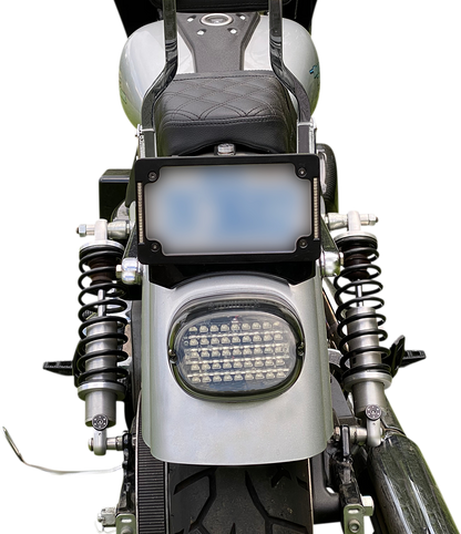 20101436_3.png
