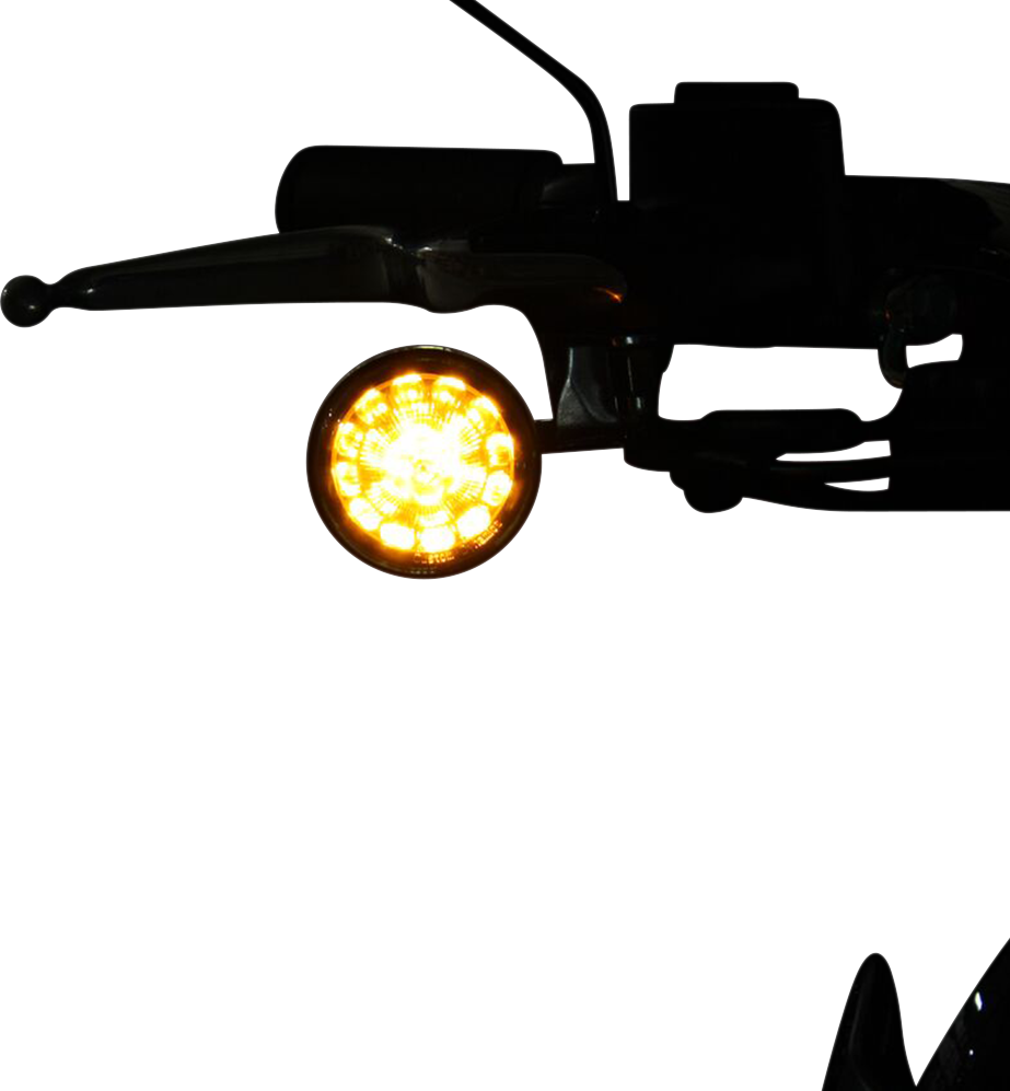 20201676_1.png