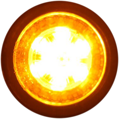 20201733_1.png
