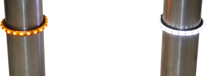 20400956_1.png
