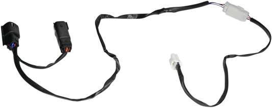 20500386_1.png
