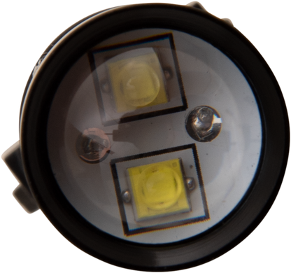 20600655_2.png