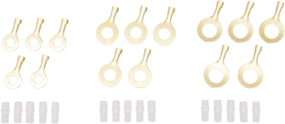 21200239_1.png