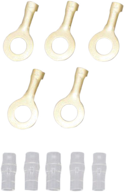 21200239_2.png