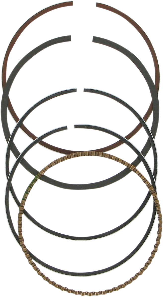 2953XG_0.png