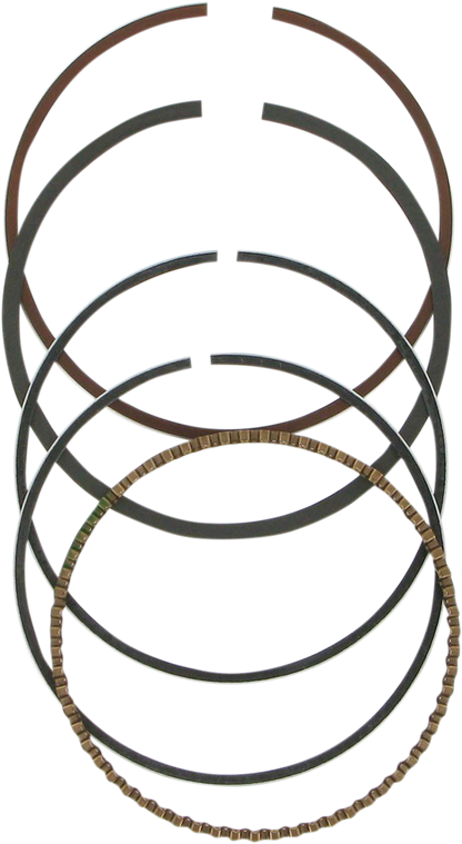 2953XG_0.png