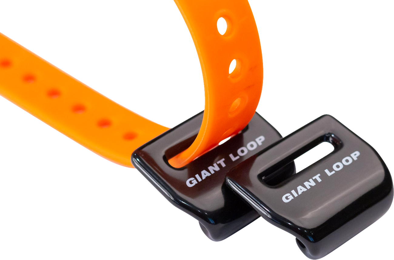35090028_1.png