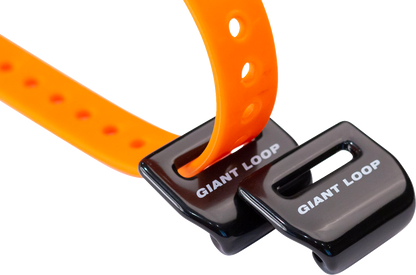35090028_1.png