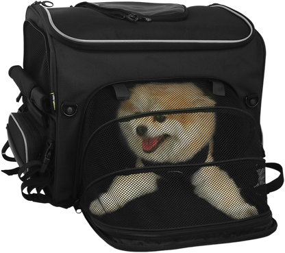 35150214_16.png