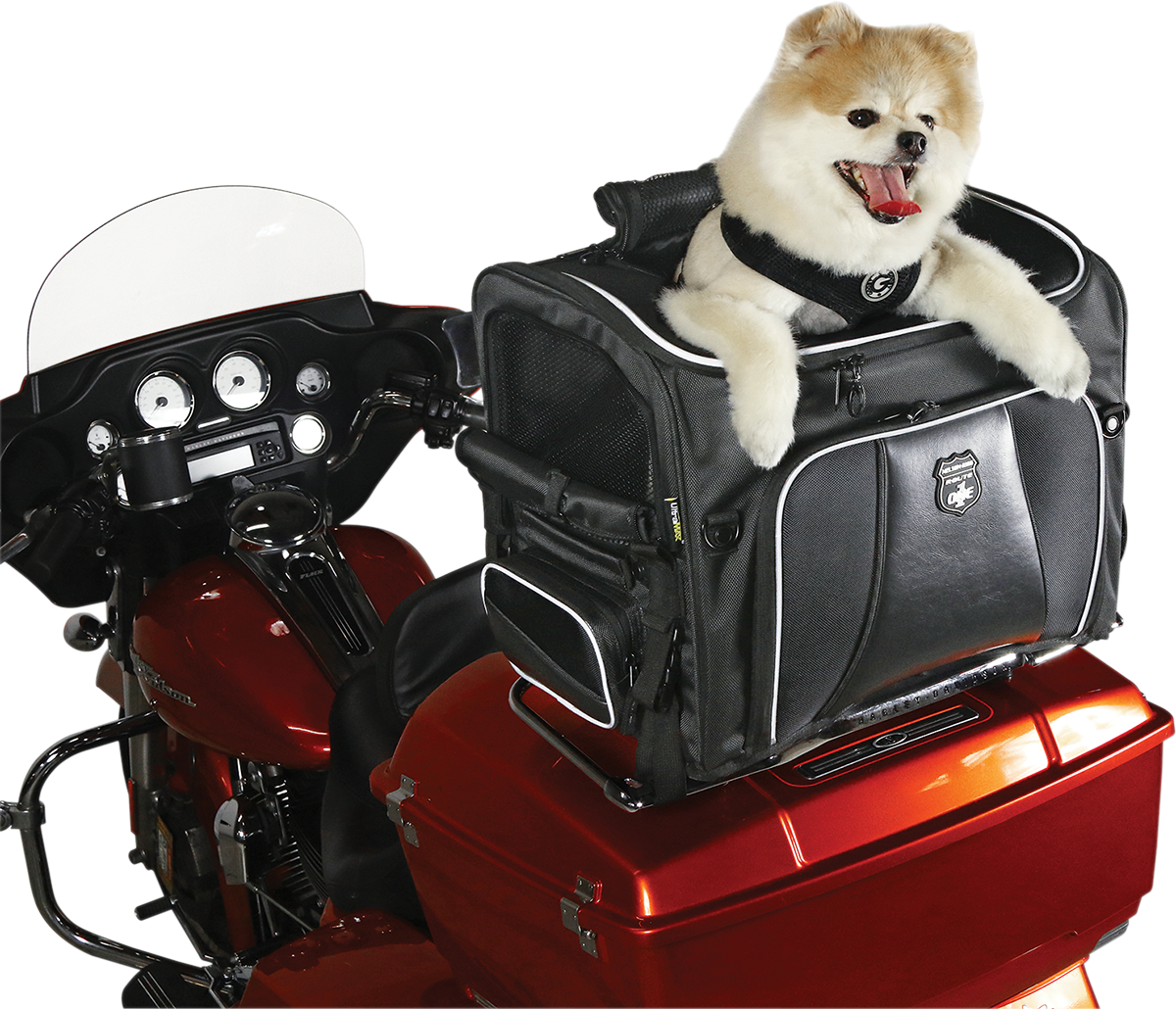 35150214_5.png