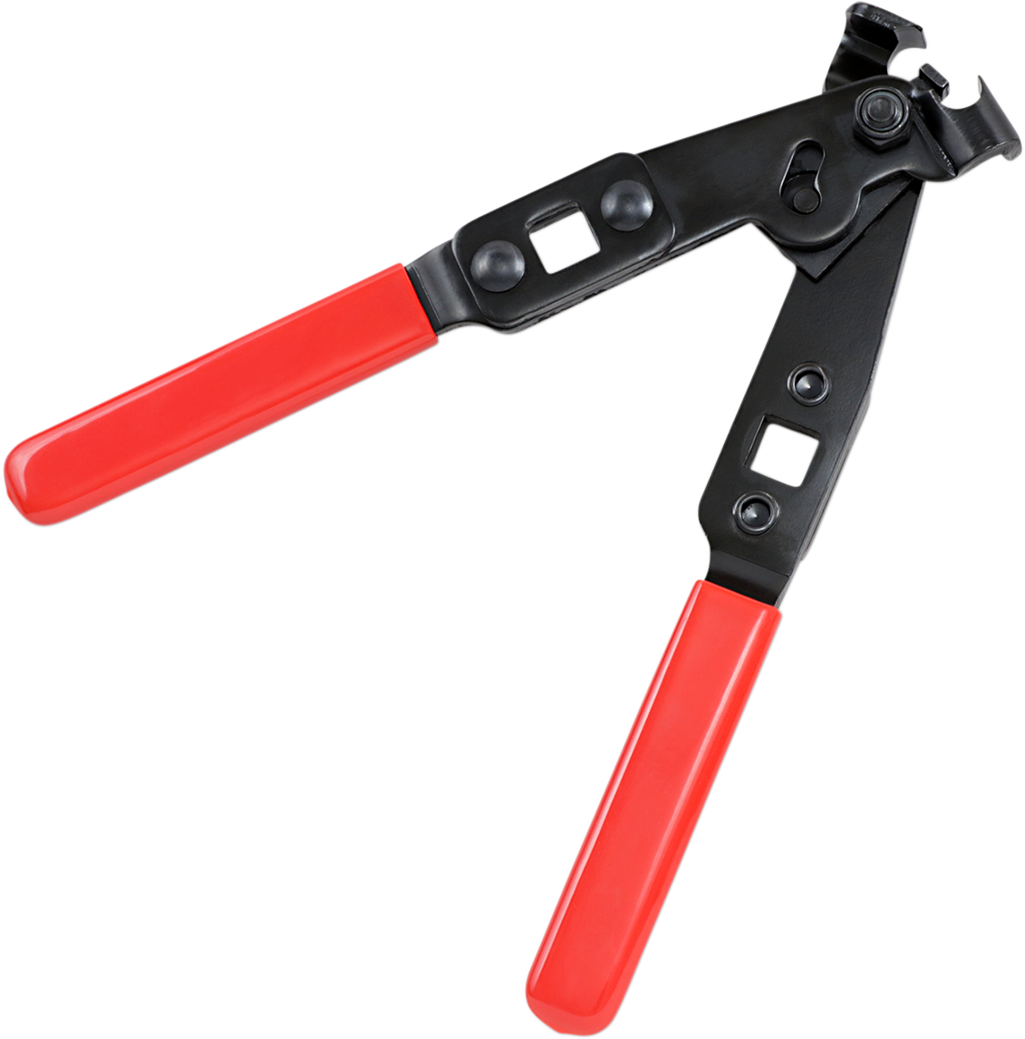 38500448_0.png