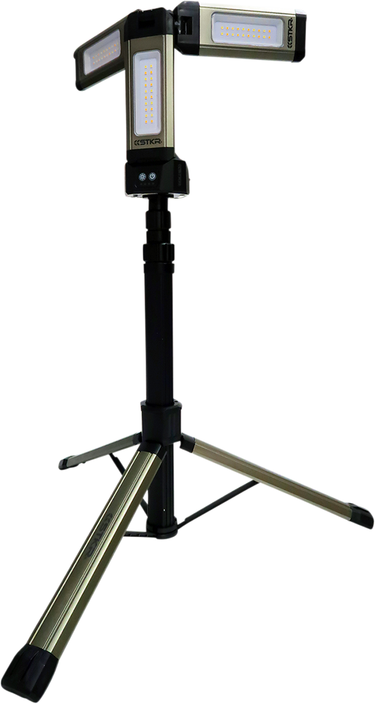 38500569_0.png