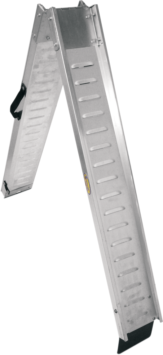 39100019_0.png