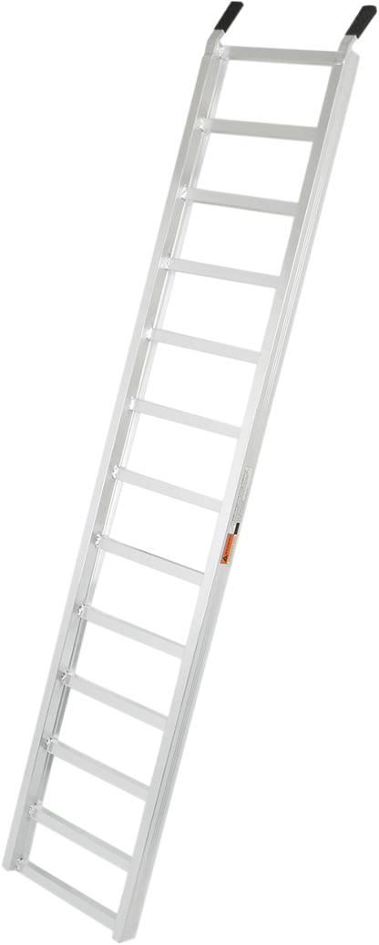 39100063_1.png