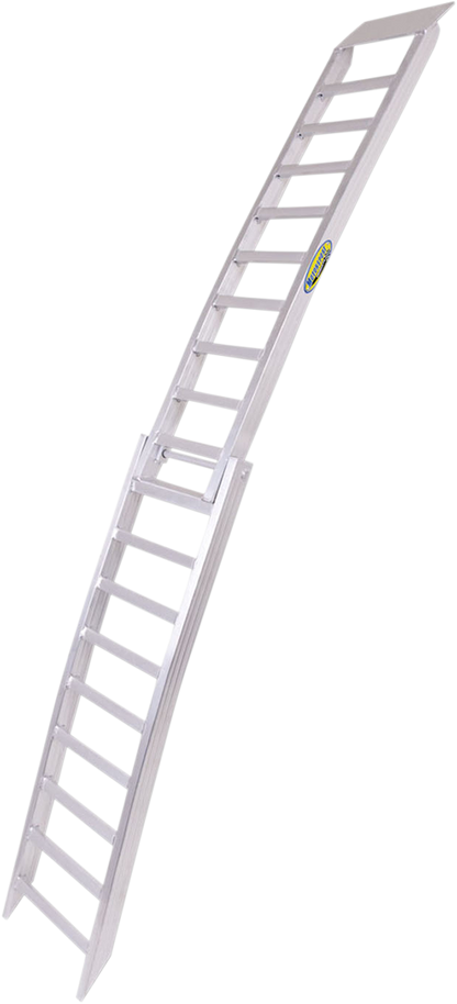 39100065_1.png