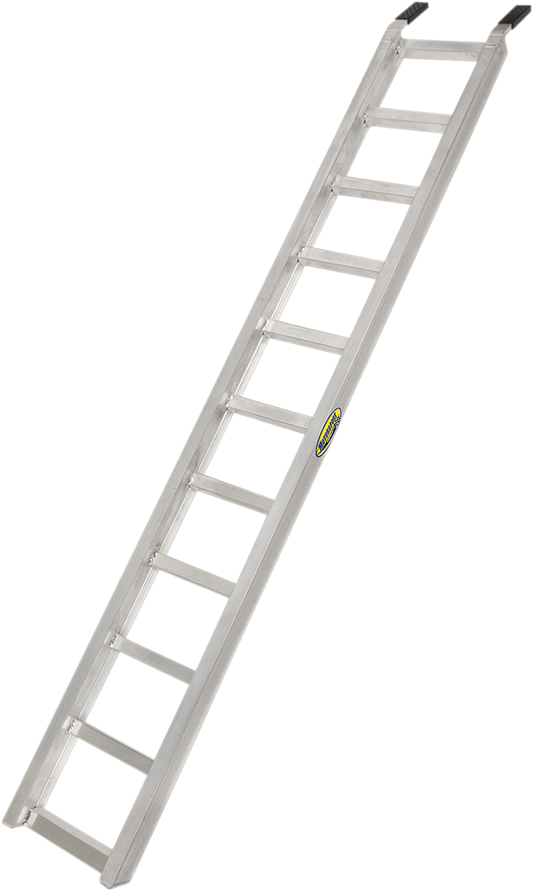 39100069_0.png