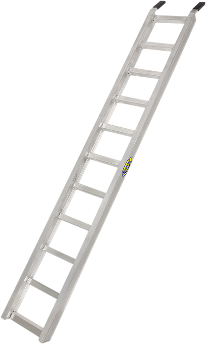39100069_1.png