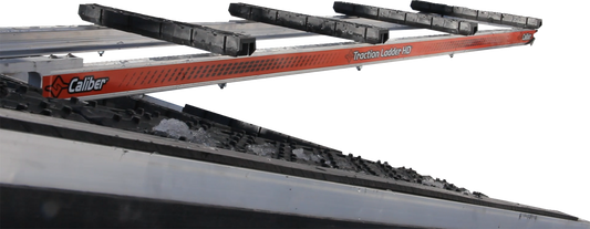 39100106_0.png