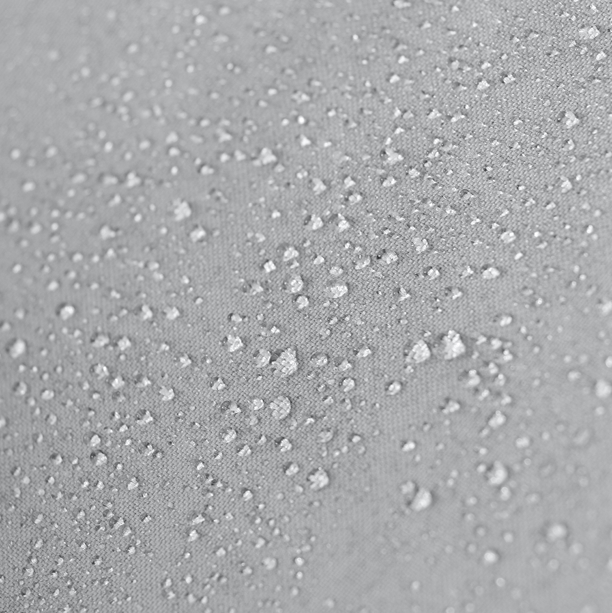 40010218_2.png