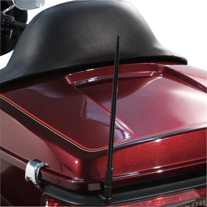 44010244_1.png