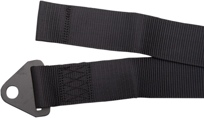 45101243_2.png