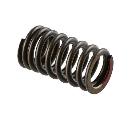 SBT Valve Spring for Yamaha 1050 (TR-1) 8GL-12113-00-00 - 46-416-73
