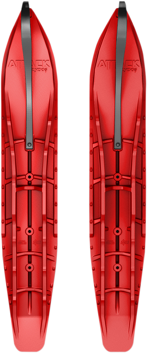 46020170_1.png