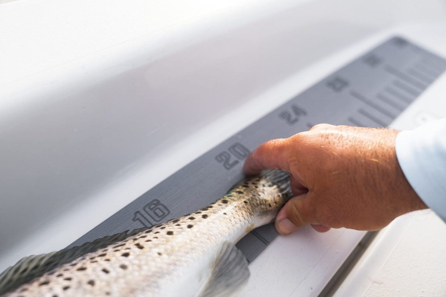 INSTOCK Seadek 36" Laser Fish Ruler - Storm Gray - 22135-80038